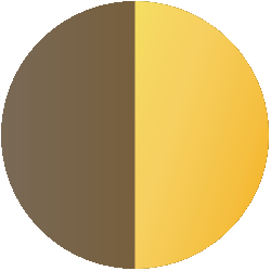 Photoshop skill icon